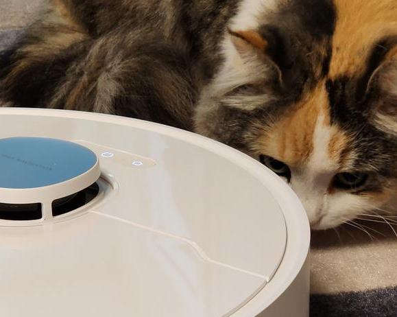 И полы протрут, и мусор соберут.</p>
<p>Подборка роботов